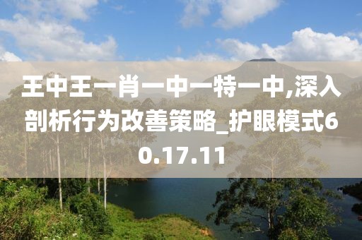 王中王一肖一中一特一中,深入剖析行为改善策略_护眼模式60.17.11