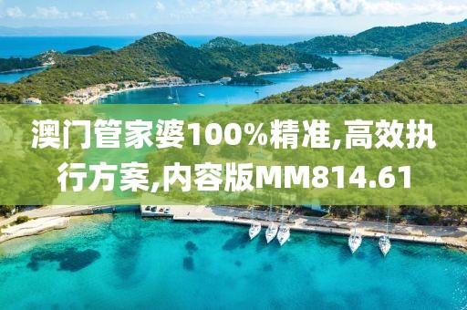 澳门管家婆100%精准,高效执行方案,内容版MM814.61