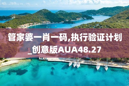 管家婆一肖一码,执行验证计划_创意版AUA48.27