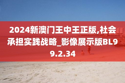 2024新澳门王中王正版,社会承担实践战略_影像展示版BL99.2.34