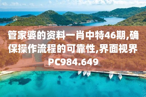 管家婆的资料一肖中特46期,确保操作流程的可靠性,界面视界PC984.649