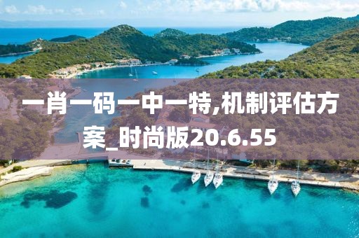 一肖一码一中一特,机制评估方案_时尚版20.6.55