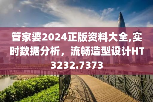 管家婆2024正版资料大全,实时数据分析，流畅造型设计HT3232.7373