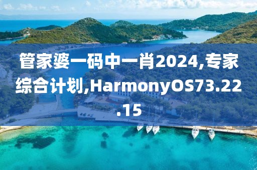 管家婆一码中一肖2024,专家综合计划,HarmonyOS73.22.15