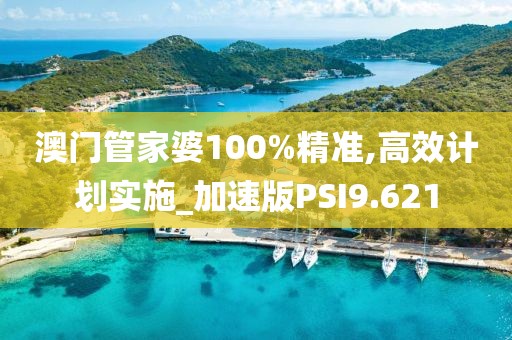 澳门管家婆100%精准,高效计划实施_加速版PSI9.621