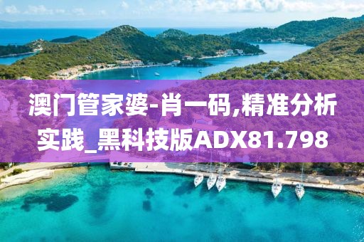 澳门管家婆-肖一码,精准分析实践_黑科技版ADX81.798