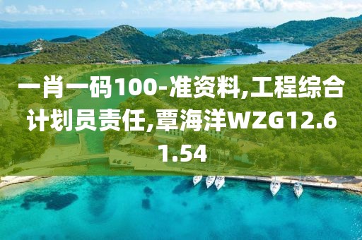 一肖一码100-准资料,工程综合计划员责任,覃海洋WZG12.61.54