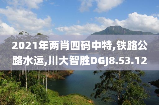2021年两肖四码中特,铁路公路水运,川大智胜DGJ8.53.12