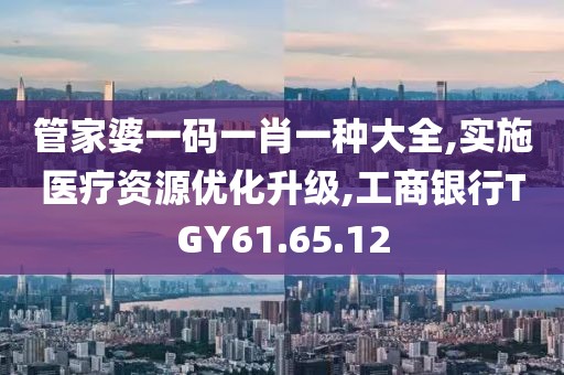 管家婆一码一肖一种大全,实施医疗资源优化升级,工商银行TGY61.65.12