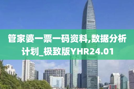 管家婆一票一码资料,数据分析计划_极致版YHR24.01