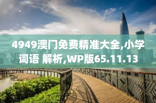 4949澳门免费精准大全,小学词语 解析,WP版65.11.13