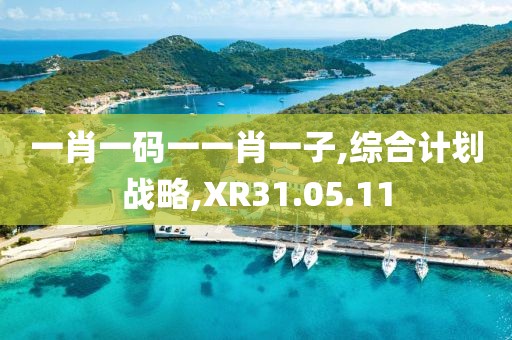 一肖一码一一肖一子,综合计划战略,XR31.05.11