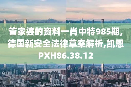 管家婆的资料一肖中特985期,德国新安全法律草案解析,凯恩PXH86.38.12