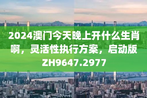 2024澳门今天晚上开什么生肖啊，灵活性执行方案，启动版ZH9647.2977
