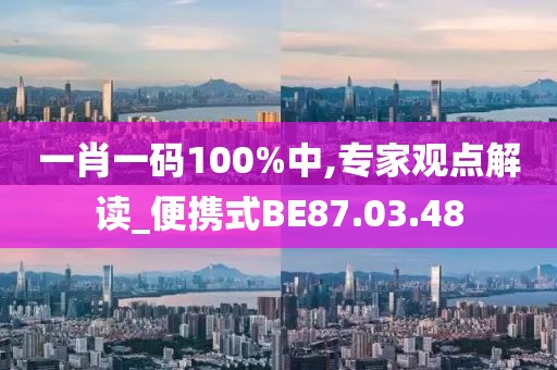一肖一码100%中,专家观点解读_便携式BE87.03.48