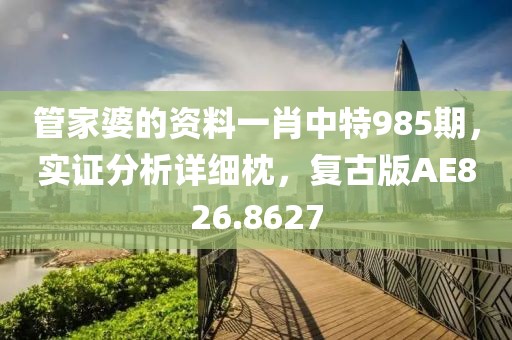 管家婆的资料一肖中特985期，实证分析详细枕，复古版AE826.8627