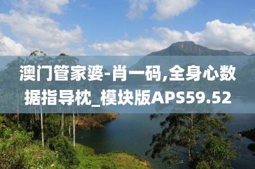 澳门管家婆-肖一码,全身心数据指导枕_模块版APS59.52