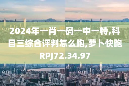 2024年一肖一码一中一特,科目三综合评判怎么跑,萝卜快跑RPJ72.34.97