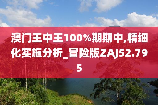 澳门王中王100%期期中,精细化实施分析_冒险版ZAJ52.795