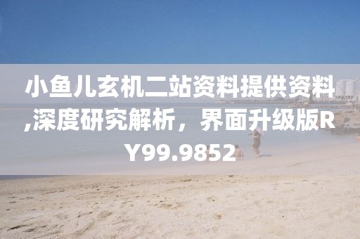 小鱼儿玄机二站资料提供资料,深度研究解析，界面升级版RY99.9852