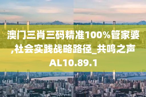澳门三肖三码精准100%管家婆,社会实践战略路径_共鸣之声AL10.89.1