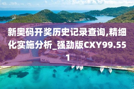 新奥码开奖历史记录查询,精细化实施分析_强劲版CXY99.551