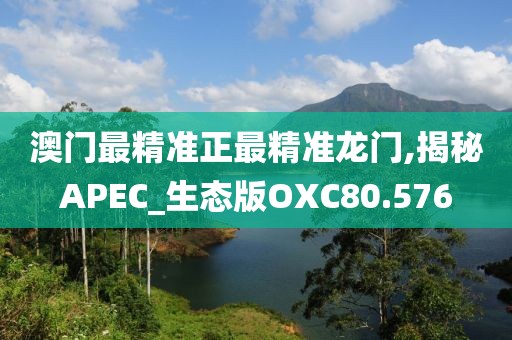澳门最精准正最精准龙门,揭秘APEC_生态版OXC80.576