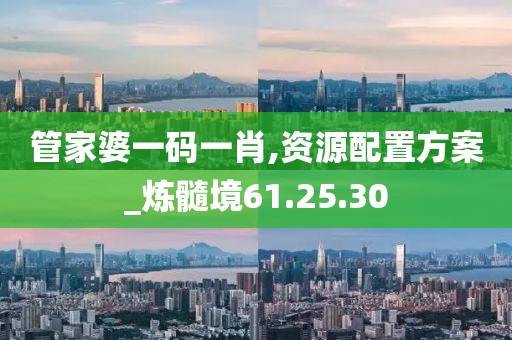 管家婆一码一肖,资源配置方案_炼髓境61.25.30