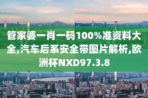 管家婆一肖一码100%准资料大全,汽车后系安全带图片解析,欧洲杯NXD97.3.8