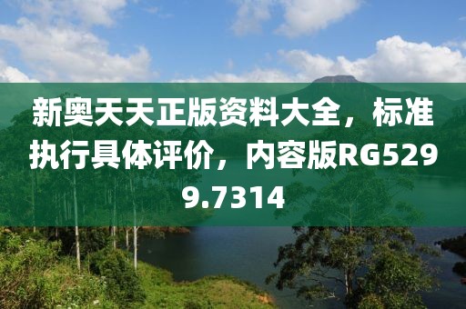 新奥天天正版资料大全，标准执行具体评价，内容版RG5299.7314
