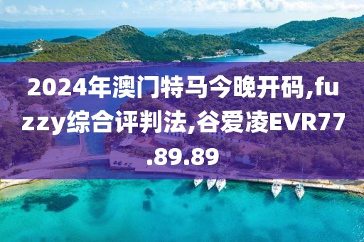 2024年澳门特马今晚开码,fuzzy综合评判法,谷爱凌EVR77.89.89