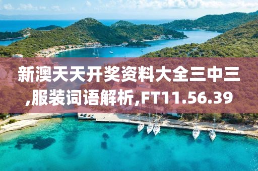 新澳天天开奖资料大全三中三,服装词语解析,FT11.56.39