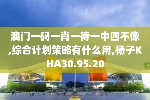 澳门一码一肖一待一中四不像,综合计划策略有什么用,杨子KHA30.95.20
