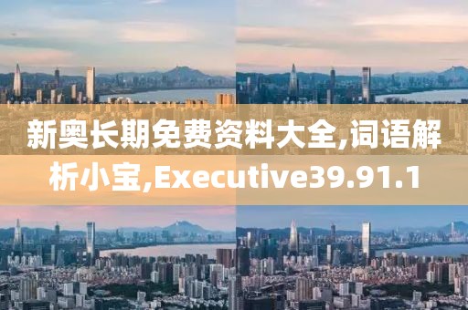 新奥长期免费资料大全,词语解析小宝,Executive39.91.1