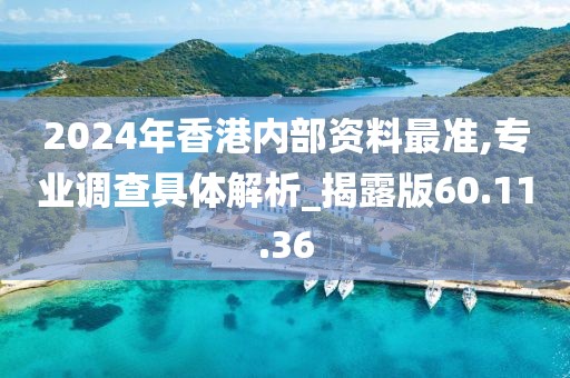 2024年香港内部资料最准,专业调查具体解析_揭露版60.11.36