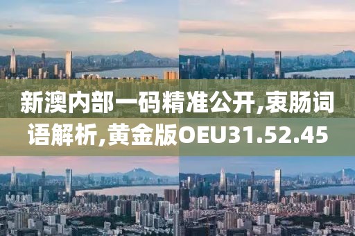 新澳内部一码精准公开,衷肠词语解析,黄金版OEU31.52.45