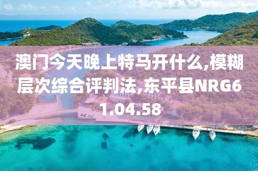 澳门今天晚上特马开什么,模糊层次综合评判法,东平县NRG61.04.58