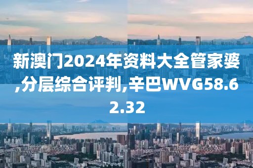 新澳门2024年资料大全管家婆,分层综合评判,辛巴WVG58.62.32