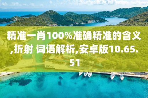 精准一肖100%准确精准的含义,折射 词语解析,安卓版10.65.51