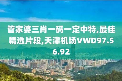管家婆三肖一码一定中特,最佳精选片段,天津机场VWD97.56.92