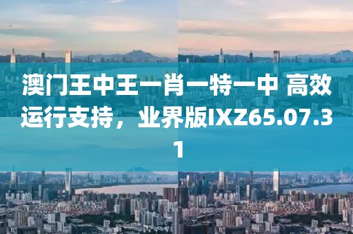 澳门王中王一肖一特一中 高效运行支持，业界版IXZ65.07.31