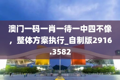 澳门一码一肖一待一中四不像，整体方案执行_自制版2916.3582