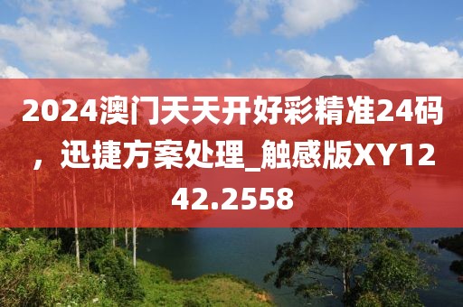 2024澳门天天开好彩精准24码，迅捷方案处理_触感版XY1242.2558