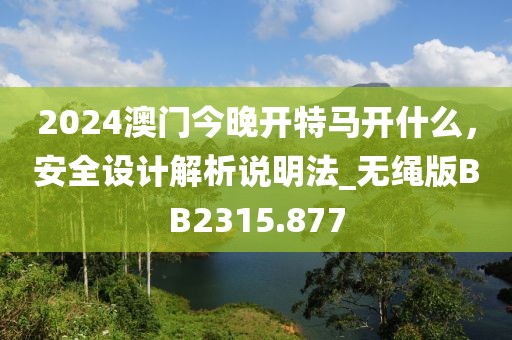 2024澳门今晚开特马开什么，安全设计解析说明法_无绳版BB2315.877