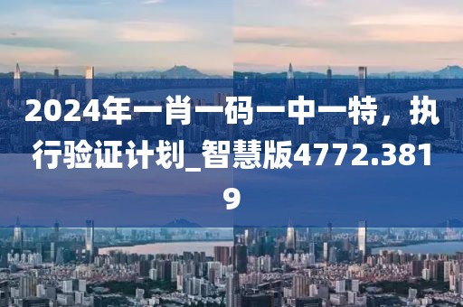 2024年一肖一码一中一特，执行验证计划_智慧版4772.3819