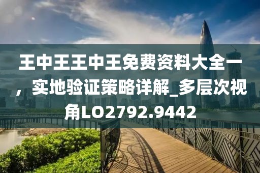 王中王王中王免费资料大全一，实地验证策略详解_多层次视角LO2792.9442