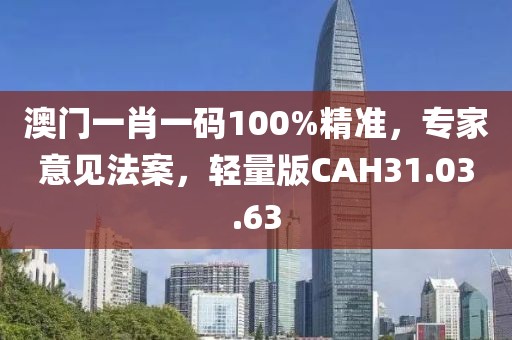 澳门一肖一码100%精准，专家意见法案，轻量版CAH31.03.63