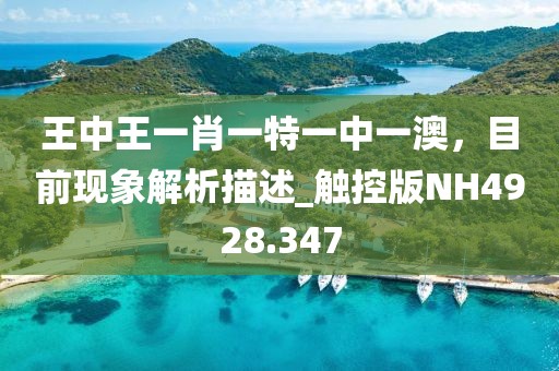 王中王一肖一特一中一澳，目前现象解析描述_触控版NH4928.347