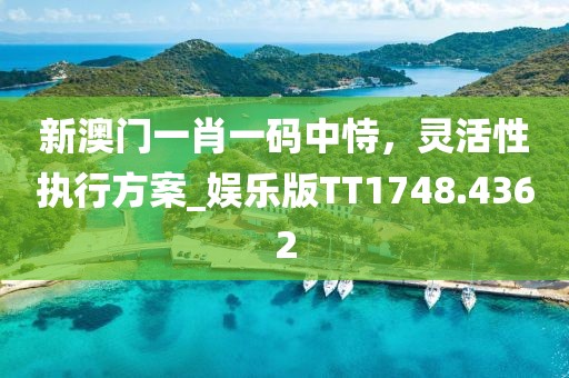 新澳门一肖一码中恃，灵活性执行方案_娱乐版TT1748.4362