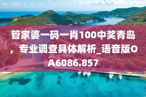 管家婆一码一肖100中奖青岛，专业调查具体解析_语音版OA6086.857